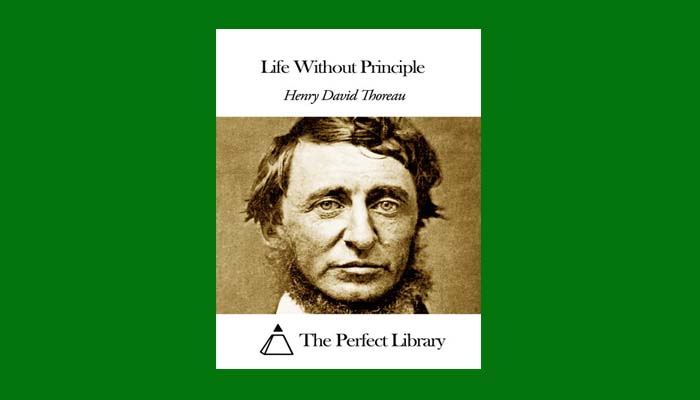 How to make essays longer picture