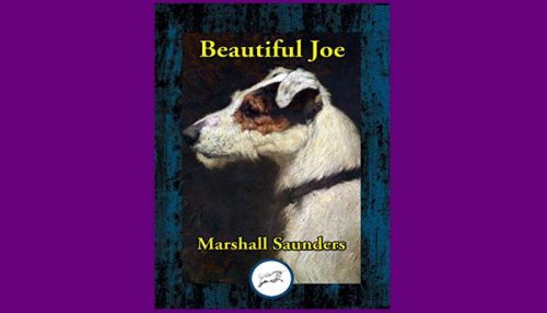 Beautiful Joe Book