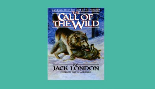 Call of The Wild Book