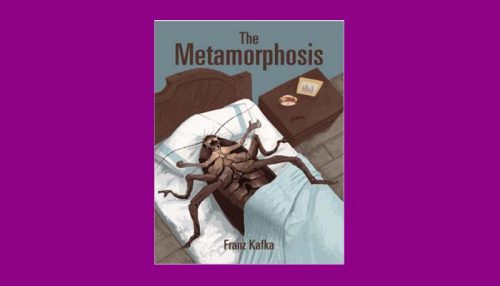 The Metamorphosis Book