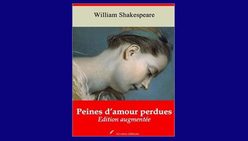 Peines D'amour Perdues Book