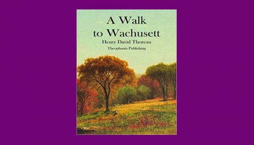 A Walk To Wachusett