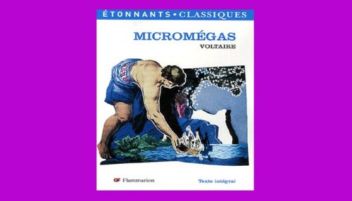 Micromegas