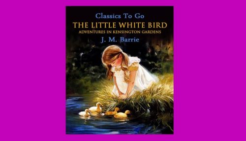 The Little White Bird