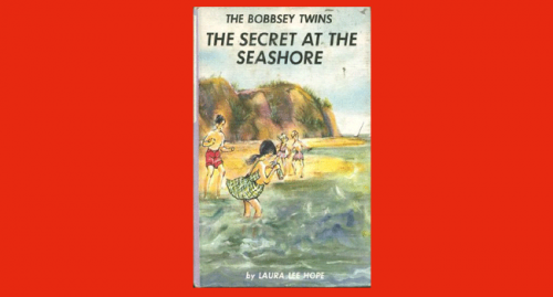bobbsey twins at the seashore pdf