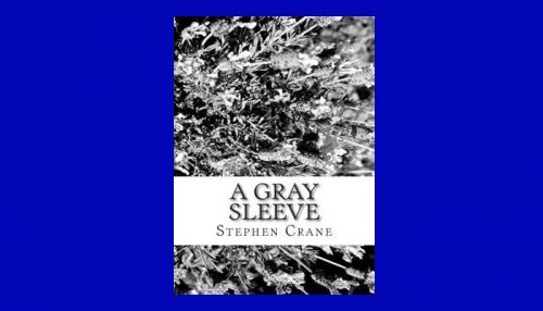 A Gray Sleeve