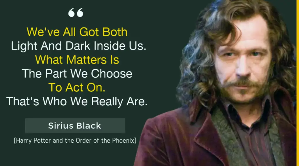 sirius black in harry potter and the order of phoenix